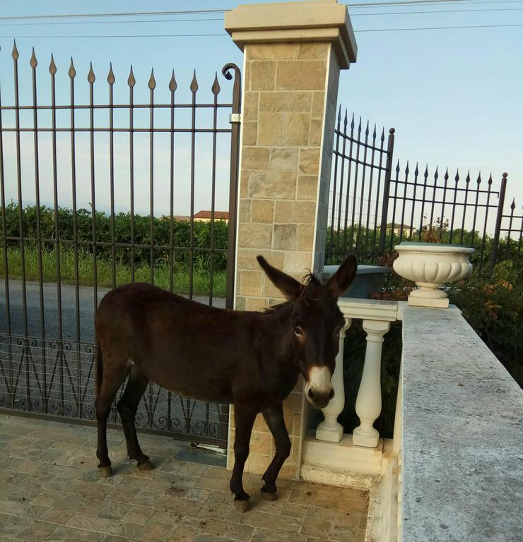 מלון וילה פרנקה די ורונה La Siesta מראה חיצוני תמונה